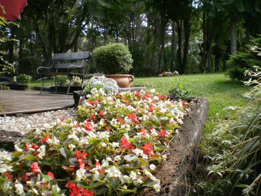 Posada Del Bosque By Hs Carilo Exterior photo